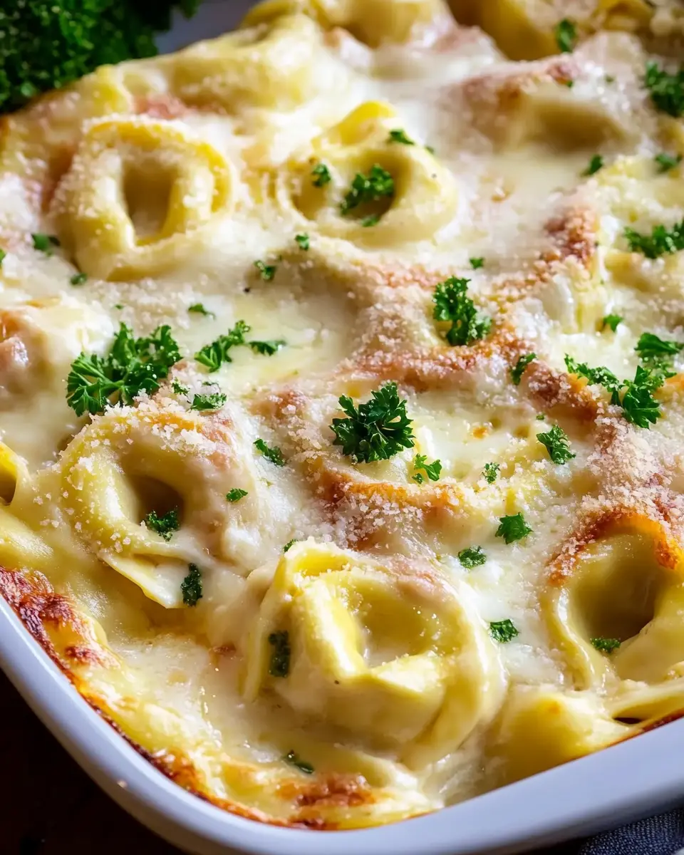 Tortellini Auflauf mit Käse-Sahne-Soße: Cremiger Genuss für zuhause 6 ibmy9efvjuluv330qysb