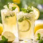 Holunderblütenlimonade selber machen – erfrischend & einfach First Image First Image